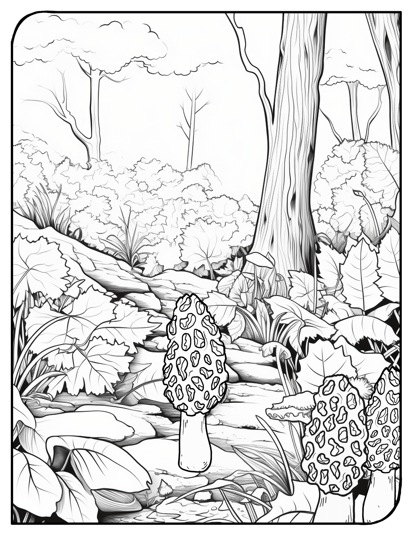 MUSHROOMS: Coloring Book for Adults